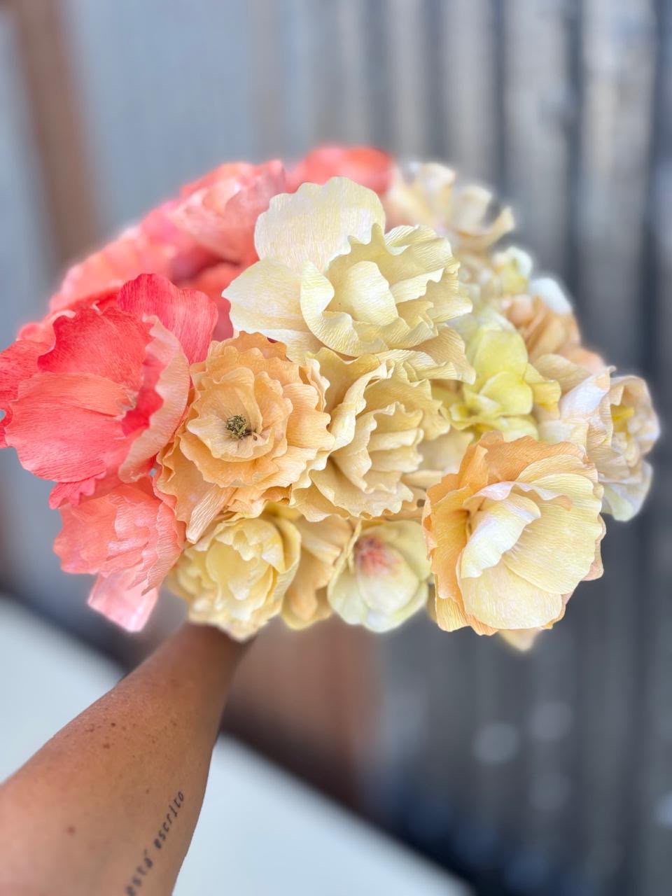 Begonias 6