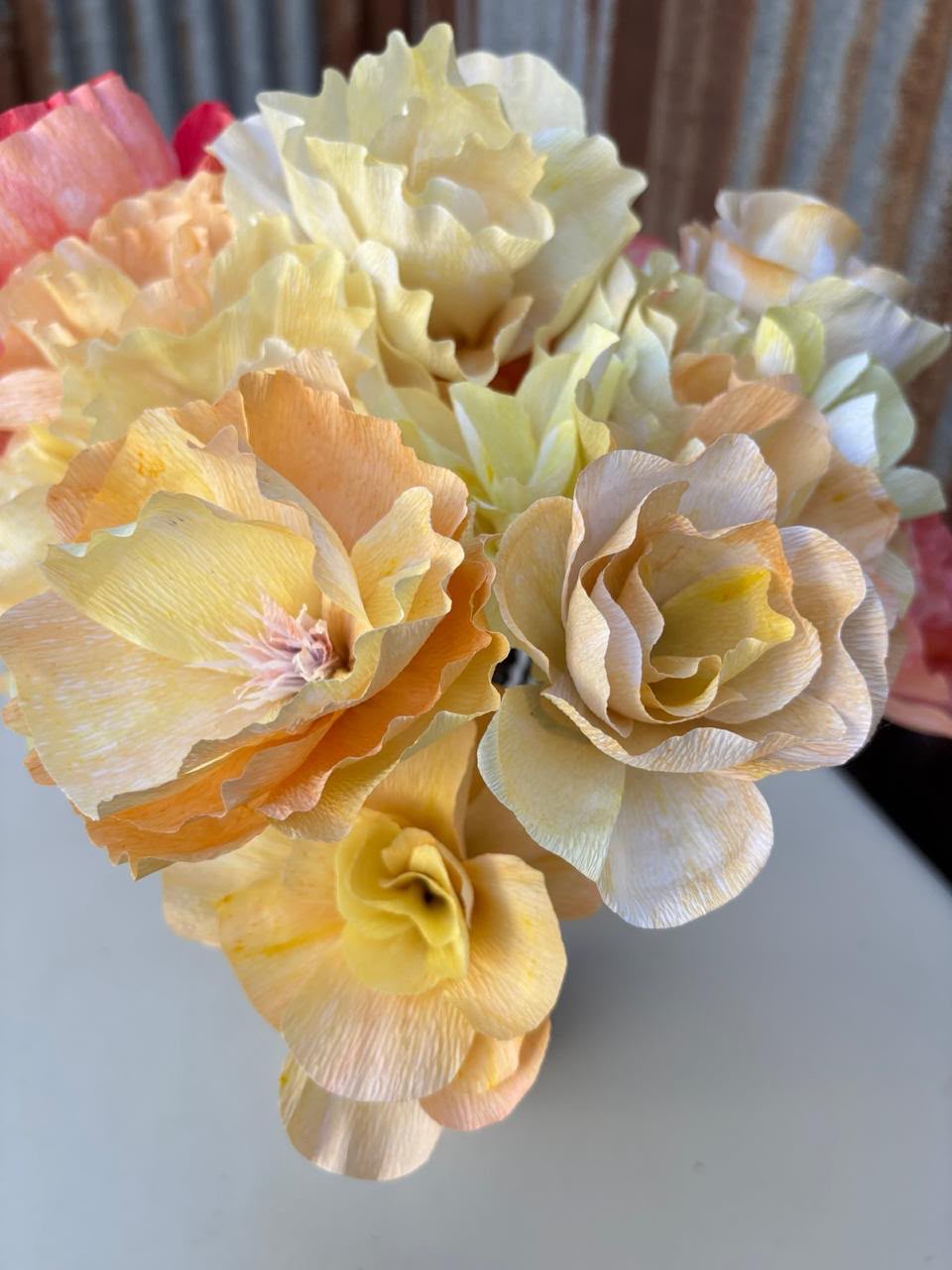 Begonias 2