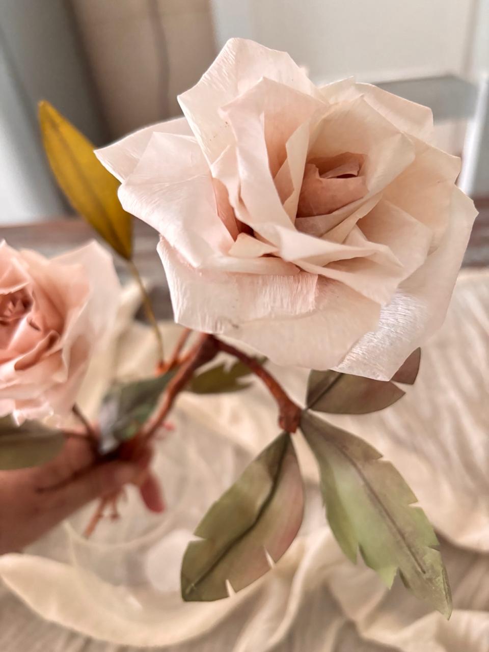 Rosas Abiertas 7