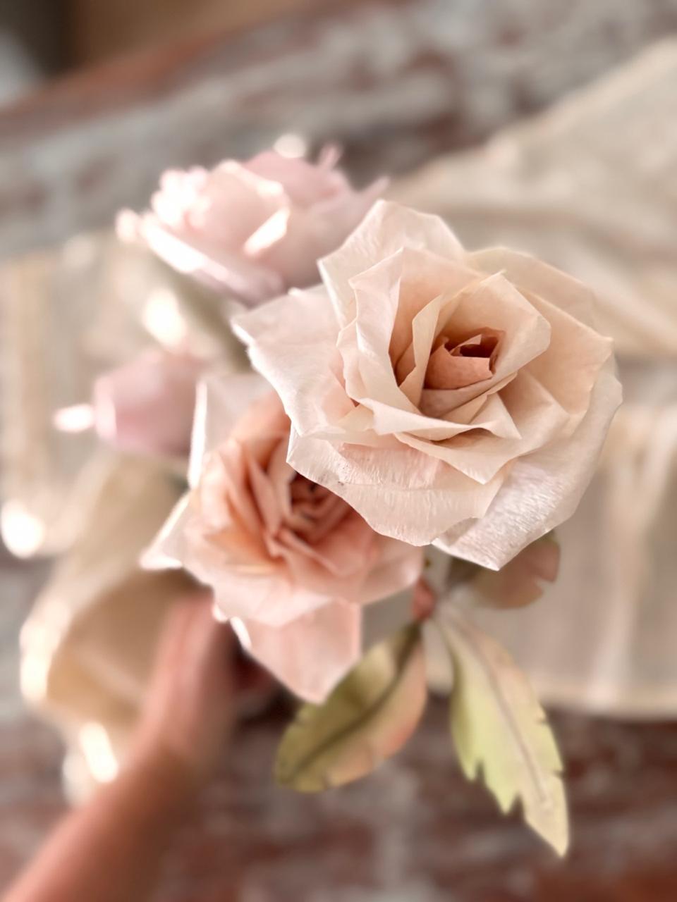 Rosas Abiertas 6