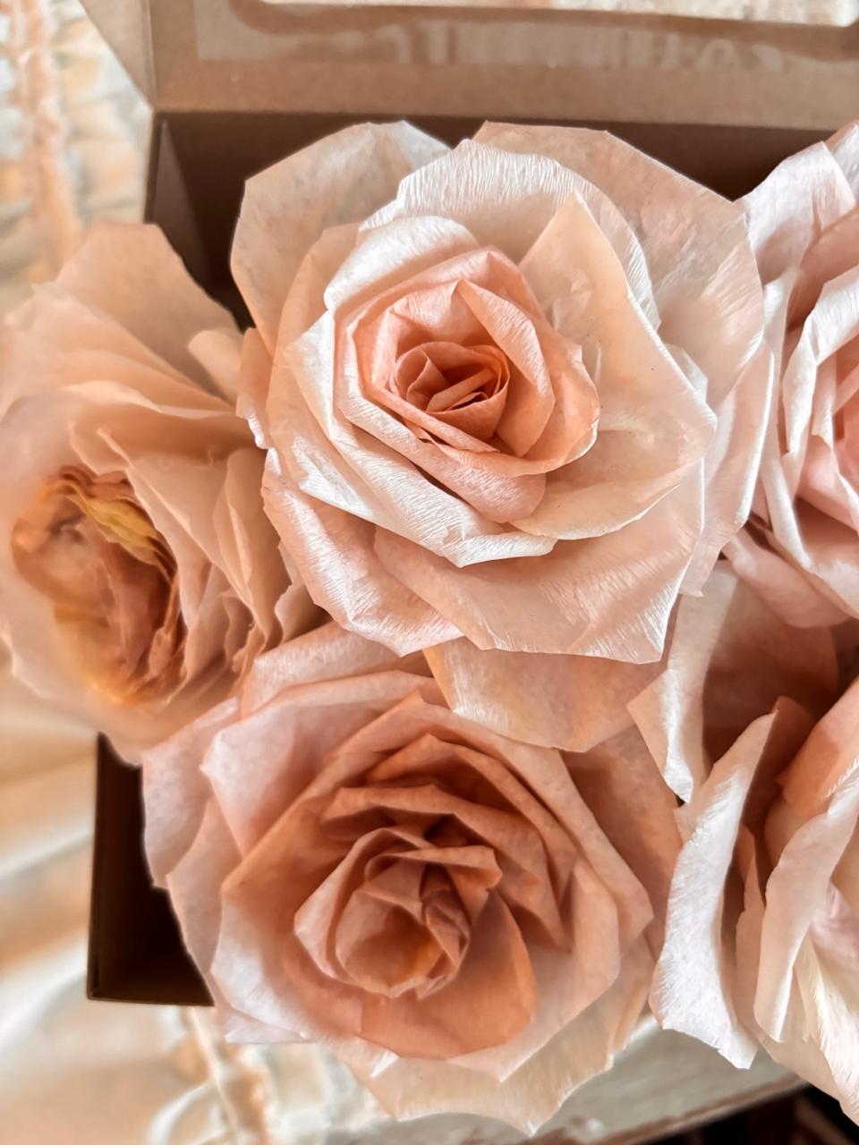 Rosas Abiertas 8