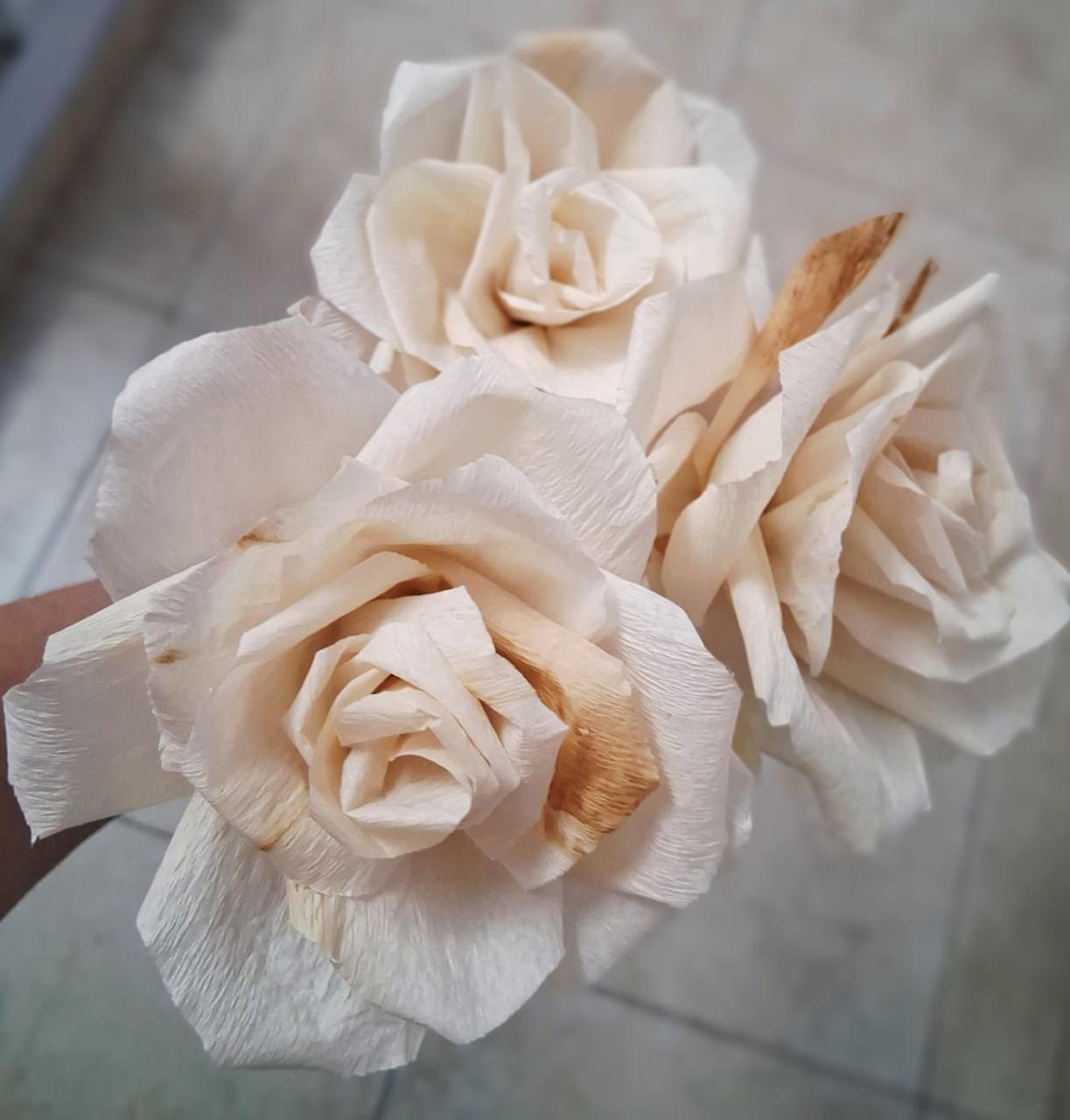 Rosas Abiertas 2