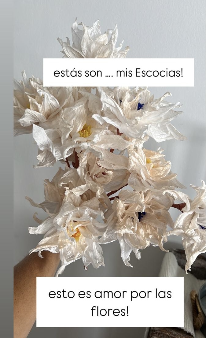 Escocias 3