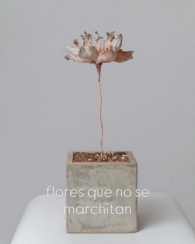 Andrea Moro creando flores – foto 16
