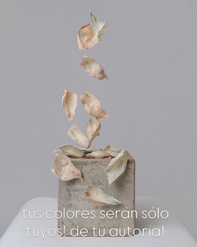 Andrea Moro creando flores – foto 15