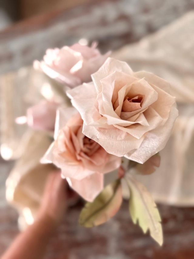 Curso de Rosas Abiertas – foto 6